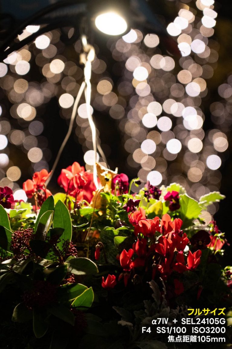 【初心者でも分かるカメラの基礎知識4】APS-Cとフルサイズの違い