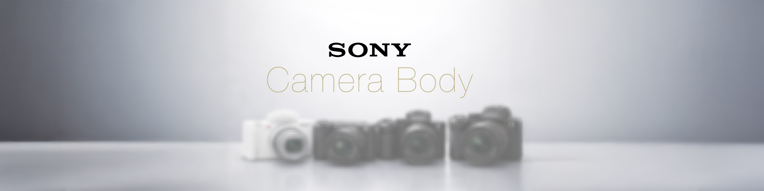 ひと目でわかる！SONYカメラボディ比較！