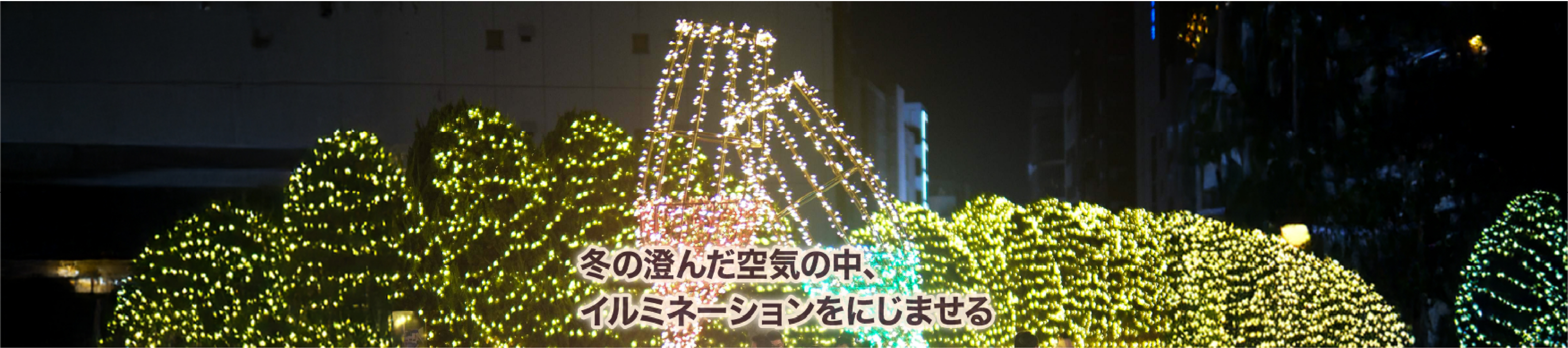 冬のミスト系ソフトフィルターのご紹介