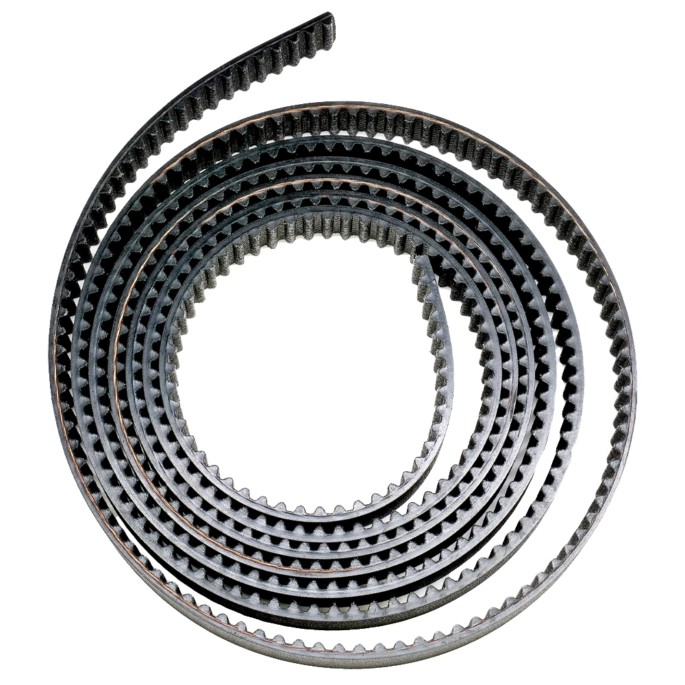 ベルト（SHORT）