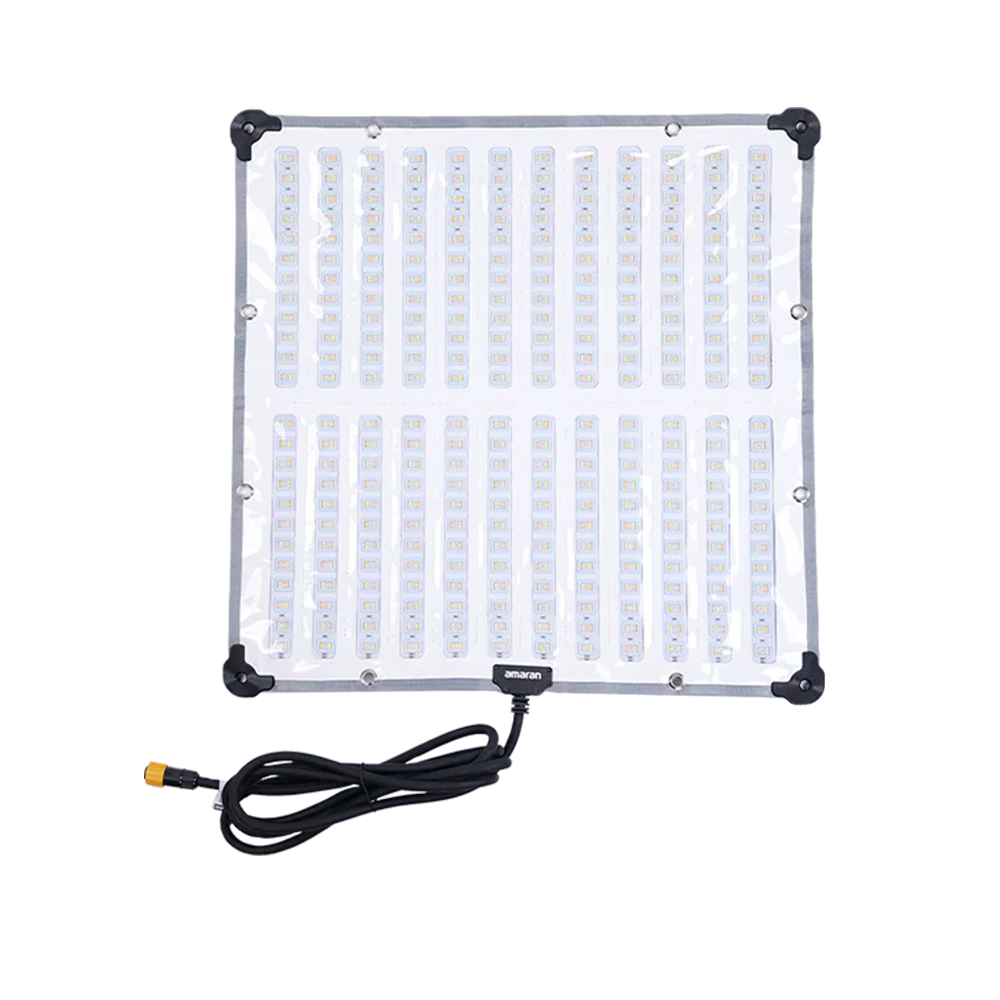 amaran F22x【ご利用の3日前までにご注文】