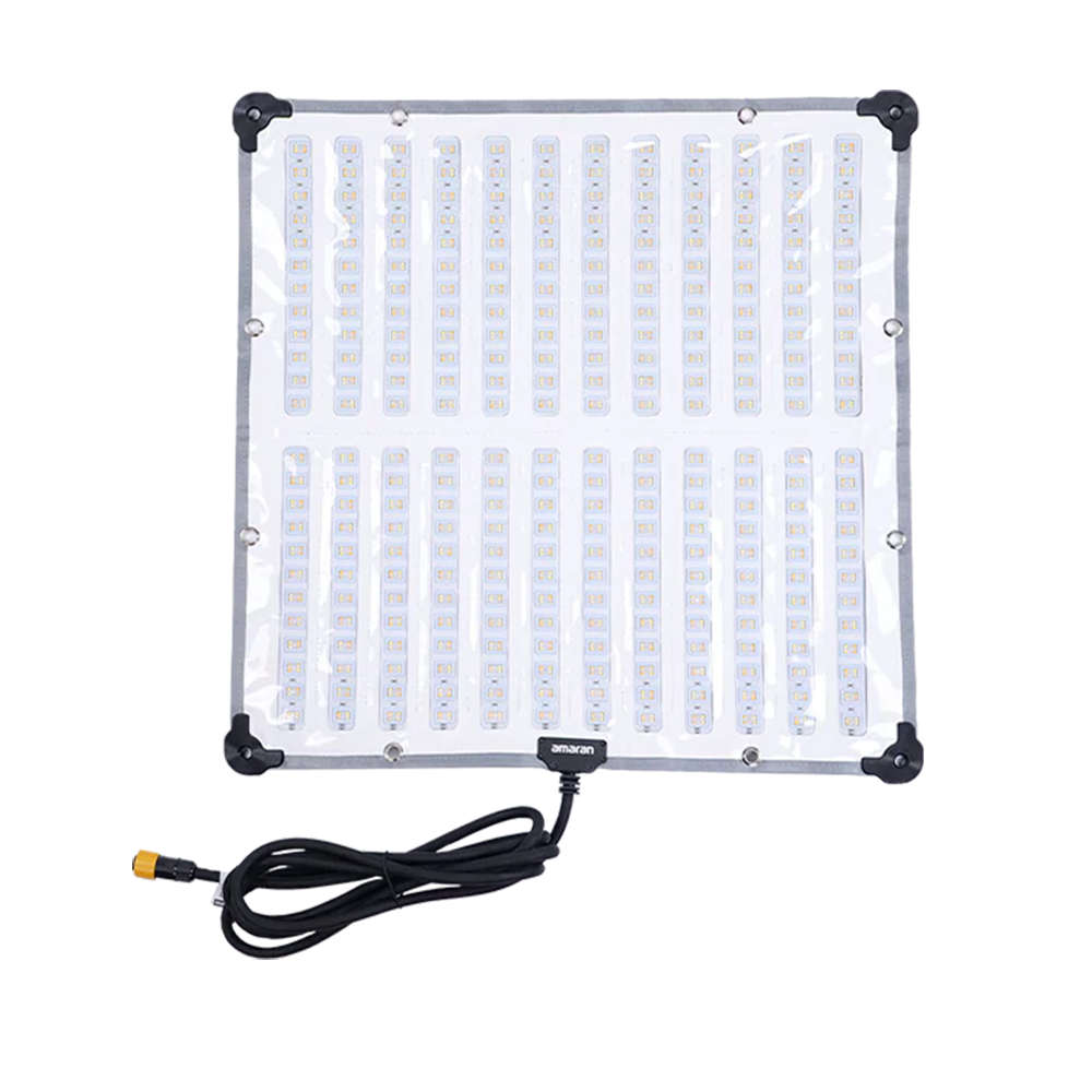 amaran F22c【ご利用の3日前までにご注文】