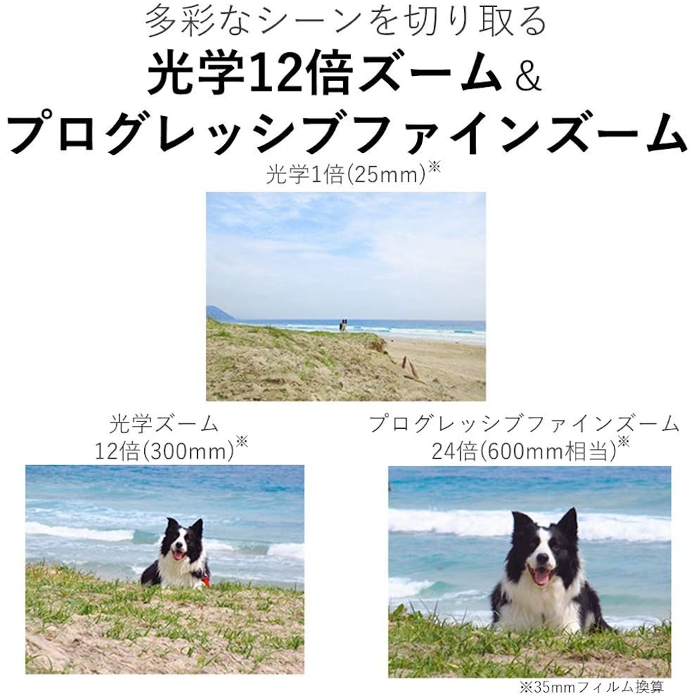 Canon IXY 650 | MAP RENTAL