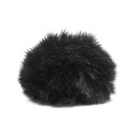 ウインドシールド