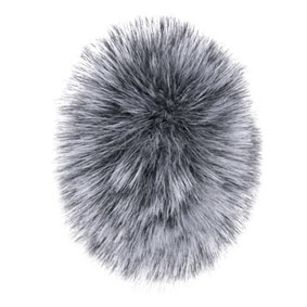 ウィンドスクリーン