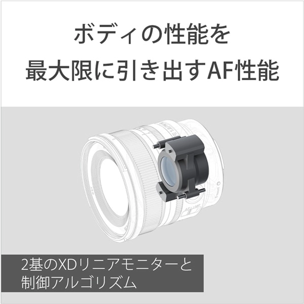 SONY FE 16mm F1.8 G（ソニーEマウント） | MAP RENTAL