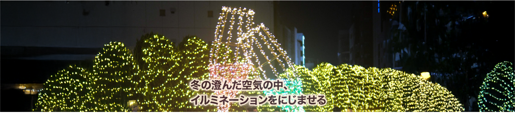 冬のミスト系ソフトフィルターのご紹介