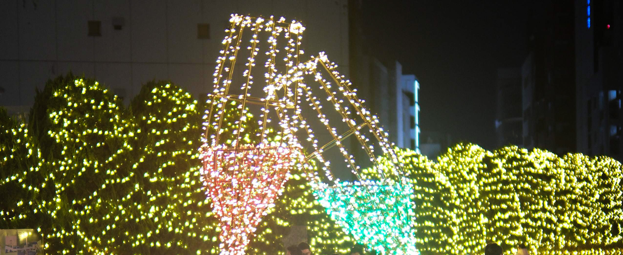 冬の澄んだ空気の中、イルミネーションをにじませる