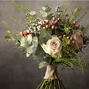 シーン別おすすめ機材