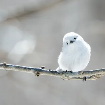 シーン別おすすめ機材